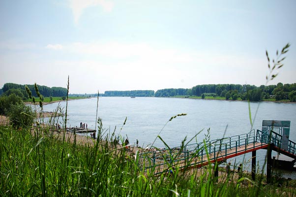 Konfirmation, Schiko, FotoSchiko, Rhein
